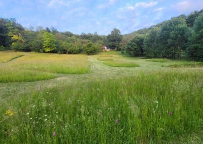 Cotedefumel camping